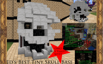 Best Tiny Skull Base