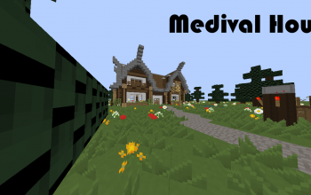 Medival House