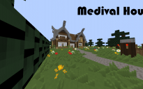 Medival House