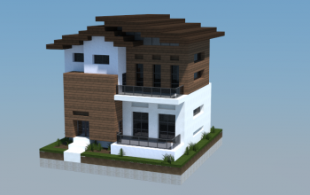 16x16 Modern House 1