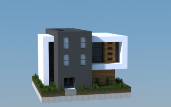 16x16 Modern House 2
