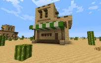 desert styled house #1