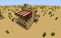 Desert styled house #2