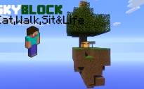 SkyBlock