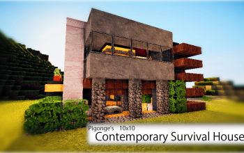 Pigonge's 10x10 Survival House 3
