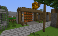 Farm - Cocoa