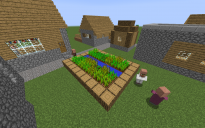 NPC Village "farm with wheat"