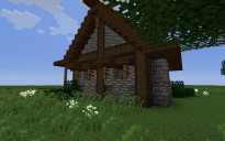 Small Medieval Farm House