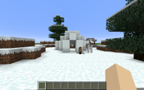 Spruce Biome Igloo