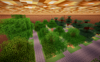 Tree Farm Underground