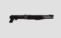 SPAS-12