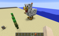 Big Chicken with Seed