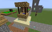 Herobrine's Well