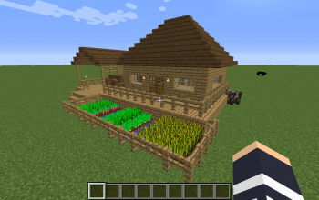 small house with mini farm