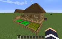 small house with mini farm