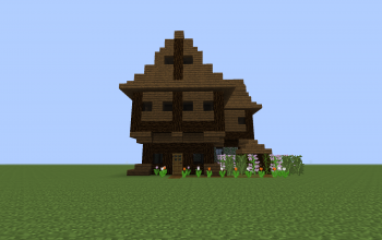 small rustic house
