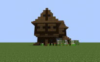 small rustic house