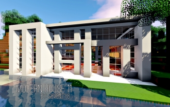 Modern House 11