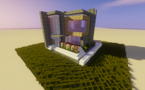 15x15 Modern Home