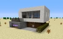 S Modern house