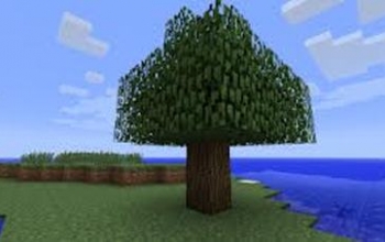 Normal minecraft tree